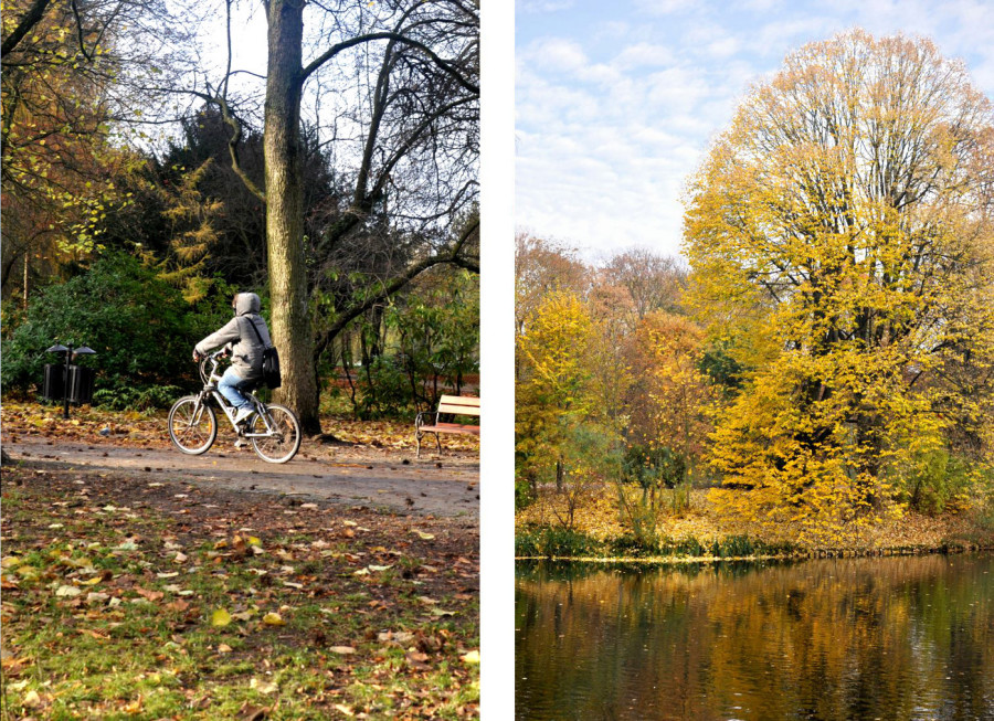 Koszaliński park jesienią. Rwerzysta. Jesienne drzewa odbijające się w wodzie. bebuszka